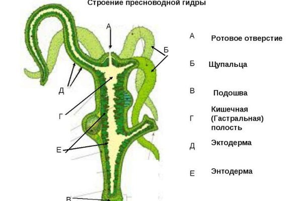 Даркнет кракен