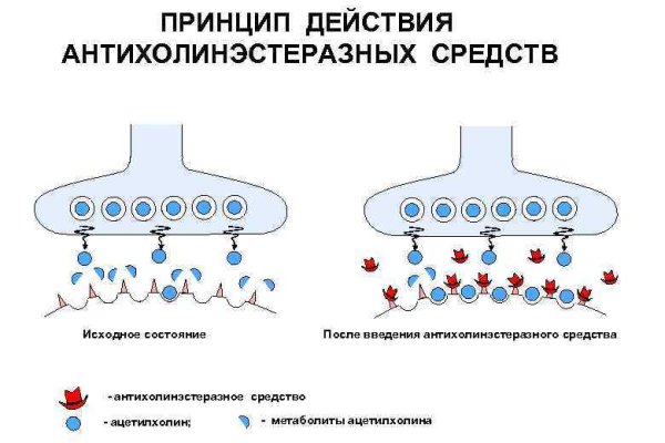 Kraken вход зеркало